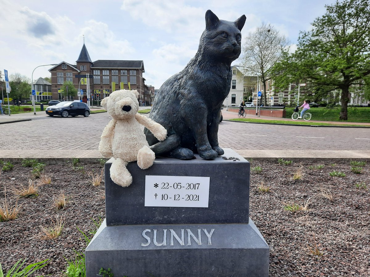 'This is a statue of Sunny, used to be a station cat here'