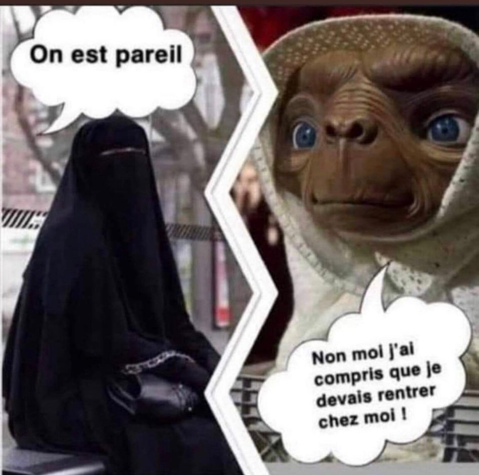 MarcellineDuha1's tweet image. #Geos #Strasbourg