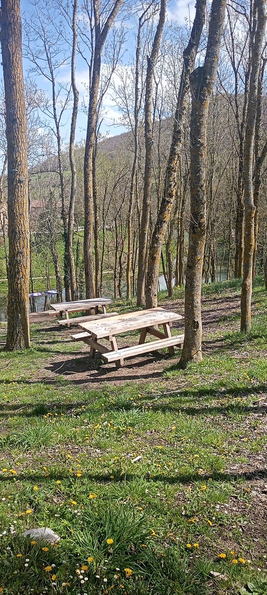 En el Parque del Nacimiento del Ebro encontrarás una maravillosa área recreativa donde podrás disfrutar de la naturaleza. Hoy tenemos un día estupendo para ello.

#campoodesuso #nacimientodelrioebro #arearecreativa #diasdesol #turismofamiliar👪