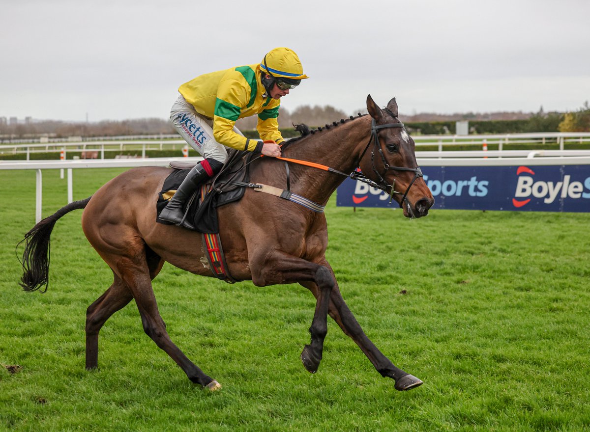 Kyntara up and ok after fall in Sefton Novices' Hurdle