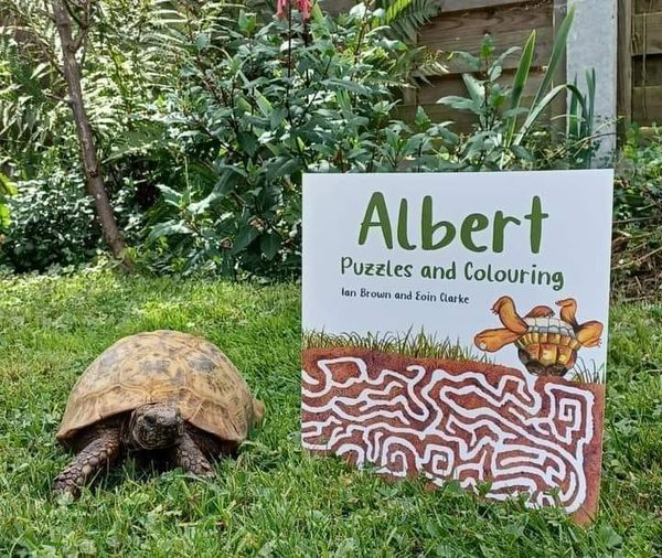 Mazes, Colouring, Join the dots, Spot the Difference.. loads of #fun #activities and #brainteasers in our #ALBERTthetortoise #ActivityBook ALBERT PUZZLES AND COLOURING. #AvailableNow Alberttortoise.com
#puzzlebook #mindful #bookseries #tortoise #turtle #mindfulness #bookish