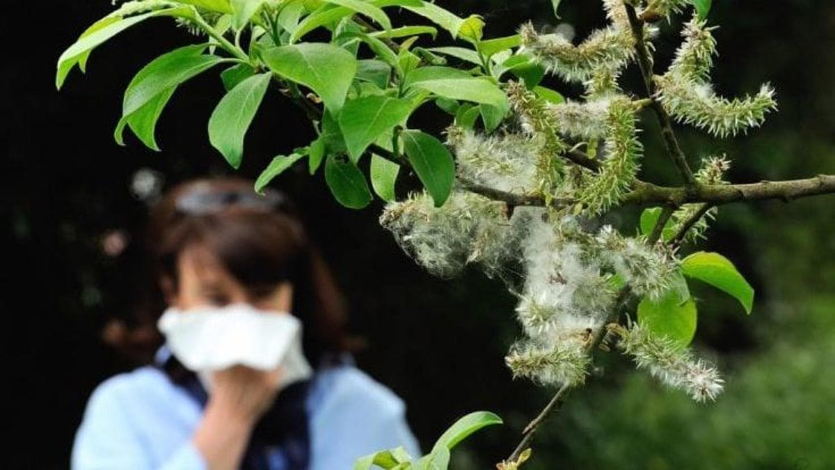 L’allerta dell’allergologo per l’erba alta a Roma: “Col caldo ci sono già nell’aria i pollini di maggio” roma.repubblica.it/cronaca/2024/0…