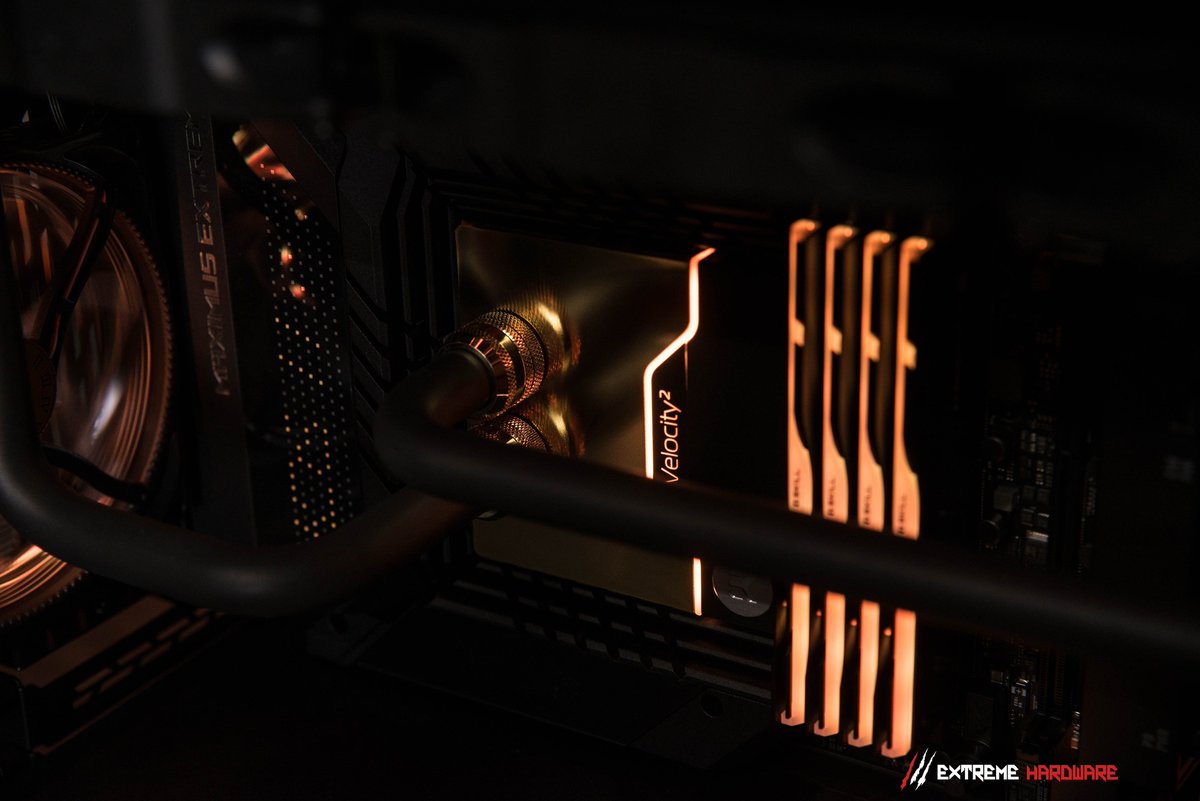 Black matched with gold is always great to stare at~🤩 📸Extreme Hardware