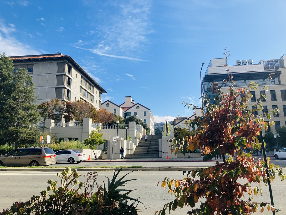 When I moved to California for my PhD, I felt like I was home. I never wanted to leave. So I am *delighted* to be going back – to join the faculty @UCBerkeley! Thanks to my lab, mentors, letter writers, friends, & partner for helping me land a dream job @BerkeleyPsych❤️☀️ (1/3)