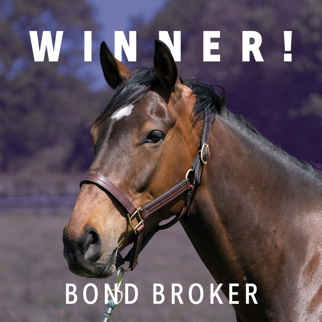 Bond Broker wins well @FakenhamRC for @PFNicholls @CheledaAngus and his ownersgroup.co.uk owners. More to come next season hopefully 🤞 🏆 👏🏻 #bondbroker #ownersgroup