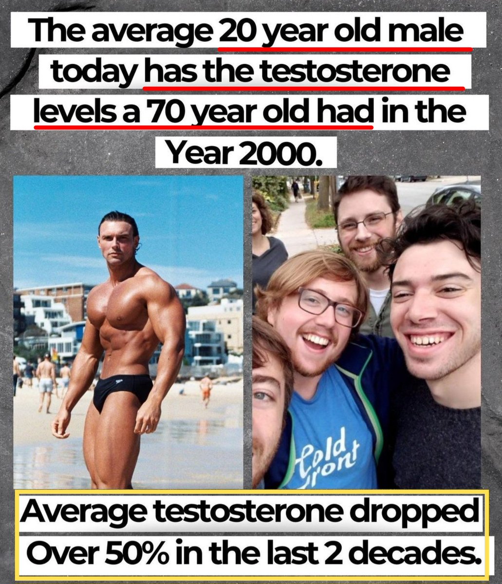 🚨 YOU ARE HALF THE MAN YOUR GRANDFATHER WAS. Literally. 

In the last several decades, Testosterone is down by Half. Sperm count by 60%. 

Do you realize how devastating this is?!  

In 20 yrs, sperm count will hit ZERO if the rate of decline stays the same. 

And Low…