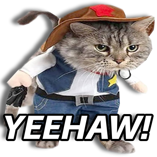 SolCatCowboy's tweet photo. YEEHAW! $CATBOY https://t.co/X1LDGVwWbl
