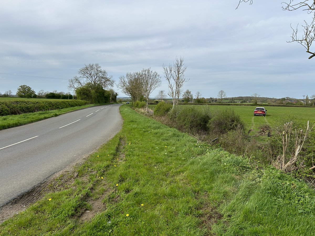 Max Edleston tweet media