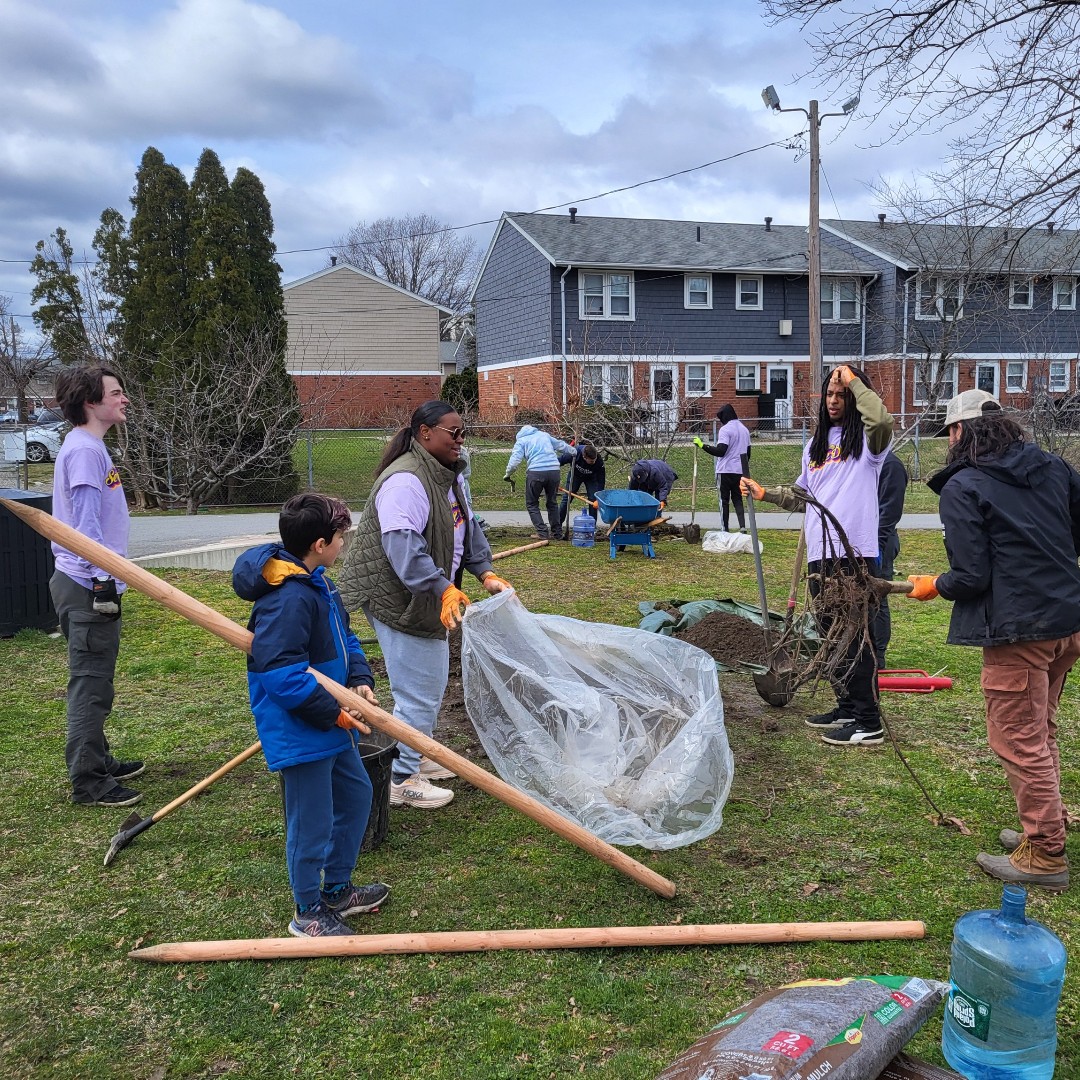 Last Friday, the Boston Parks Department partnered with Tree Eastie to plant 12 new trees at Noyes Park. Tree Eastie secured a grant to purchase the trees and supplies and volunteers from Suffolk University who worked with our city arborists to get the trees properly planted.