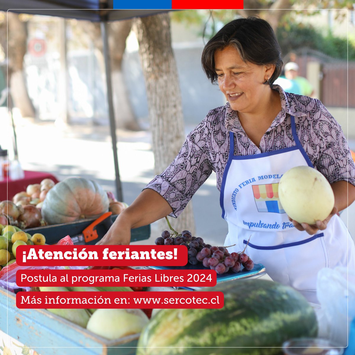 Porque son la primera línea de abastecimiento y un patrimonio vivo de nuestro país, lanzamos una nueva convocatoria a #FeriasLibres2024🍎

🍅 Postula junto a tu equipo desde hoy y hasta el 13 de mayo. Descarga las bases del programa en sercotec.cl