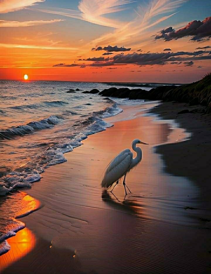 Guys share your pic for more exposure Will retweet the best ones .
Please retweet & follow .
#sunset
#sunsetphotography
#SunsetViews
#NatureBeautiful 
#NatureLover 
#NaturePhotography 
#photography
Here i leave mine 👇