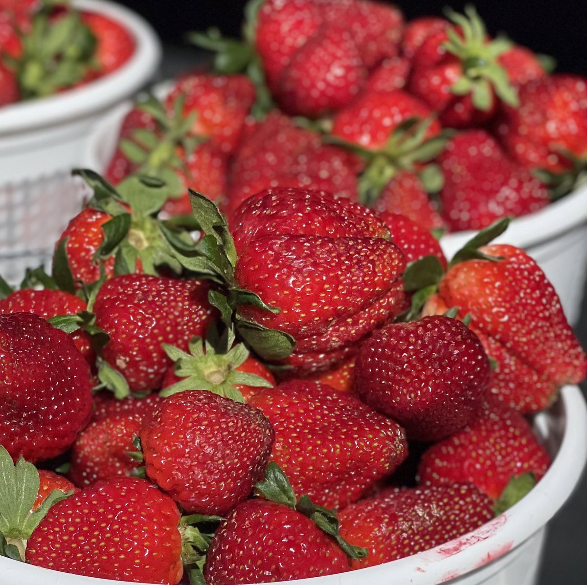 Happy Friday! Mouth watering and the smell intoxicating.🍓 Absolutely run on over to your favorite Market on the Westside. We welcome you until 6pm today. #floralparkmarket