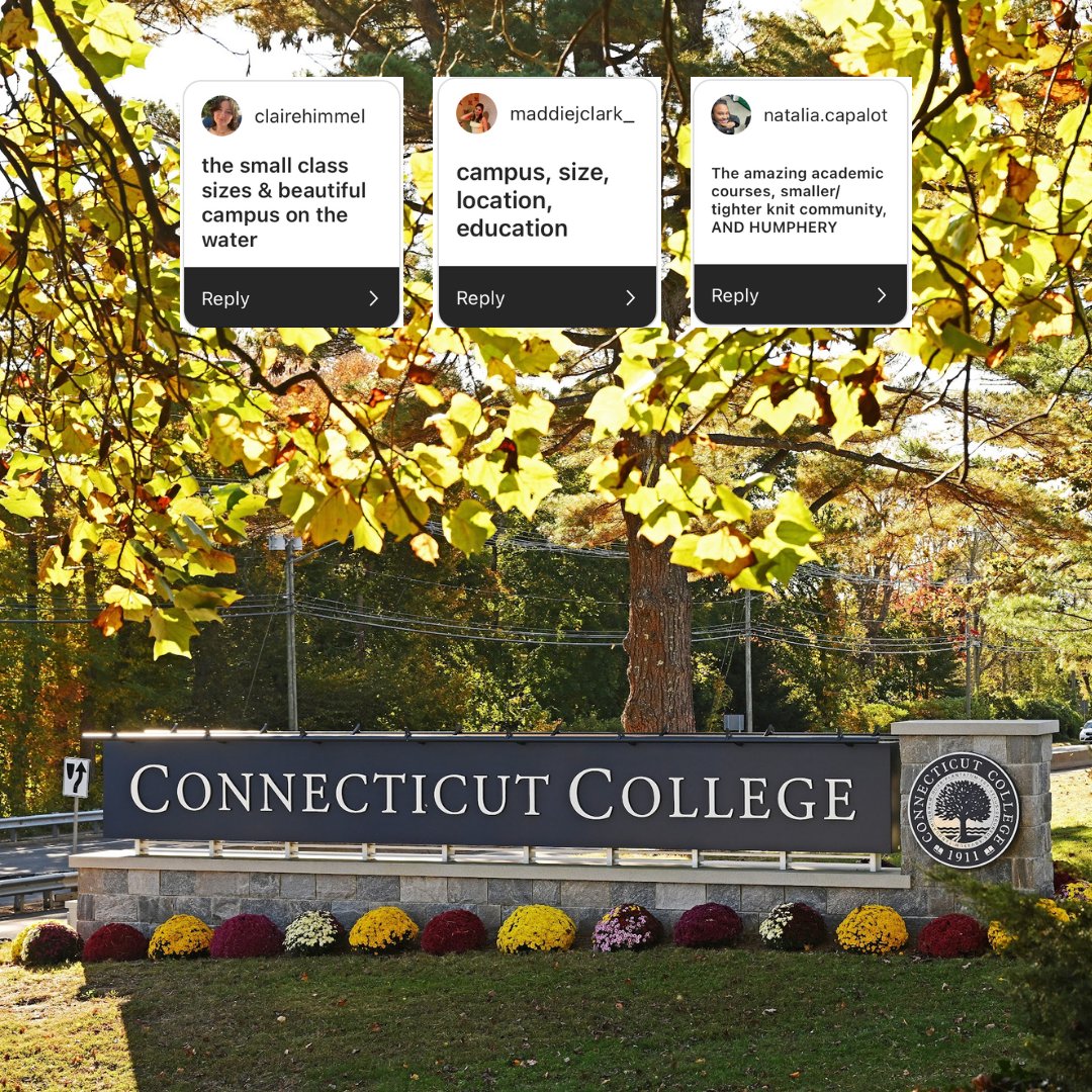 We asked our Camels why they chose #ConnCollege. Here are some of their answers! ⬇️