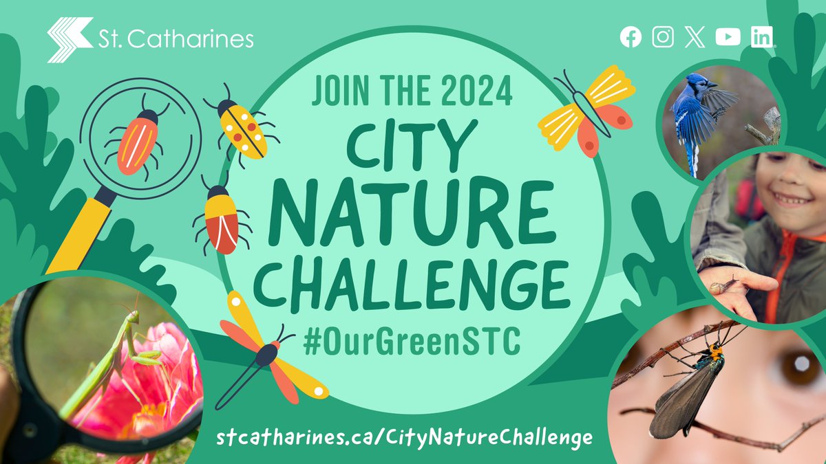 The City Nature Challenge starts April 26th! Residents of St. Catharines are being encouraged to get outdoors and explore nature. Find more information at stcatharines.ca/citynaturechal… #OurGreenSTC