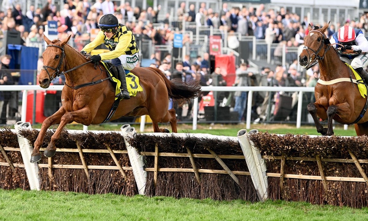 Dancing City turns the tables on The Jukebox Man on their Albert Bartlett form taking an attritional Sefton Novices’ Hurdle for Joe and Marie Donnelly 📸 Bill Selwyn