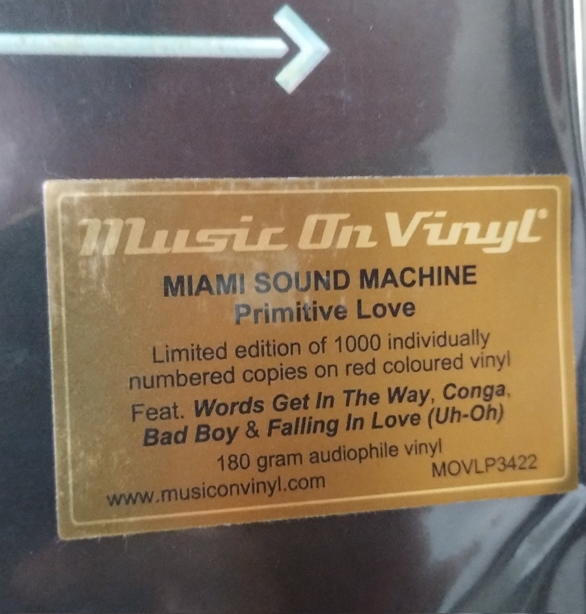 MoraesGilliardi's tweet image. Arrived today!!! A beautiful masterpiece #MiamiSoundMachine #PrimitiveLove #Vinyl #Conga #BadBoy #WordsGetInTheWay #FallingInLoveUhOh