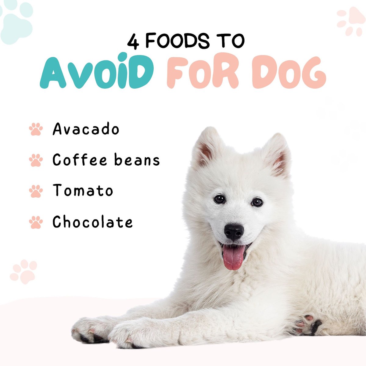 Watch out! Not all foods are safe for your furry friend. 🚫
These are some common foods to avoid feeding your dog and keep them healthy and happy. 
------
🌐 purrfectshoppe.com
.
#dogtreats #healthysnacks #dogcaretips #petwellness #dogtraining #dogbehavior #specialtreats