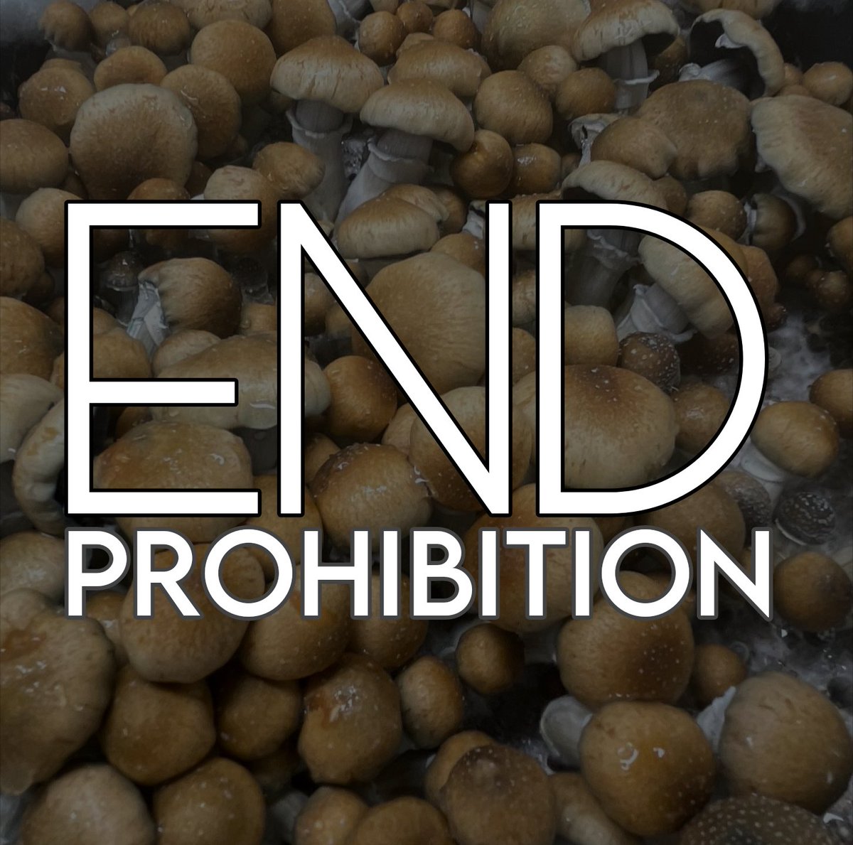 Prohibition doesn't work. It's never worked. It will never work. 🖖👽 #EndProhibition