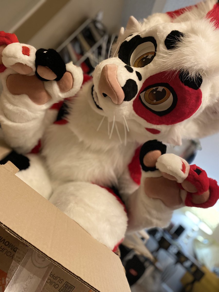 Kodi unboxing ❤️❤️❤️ Happy #FursuitFriday 🪡: @ThePhoenixNest_