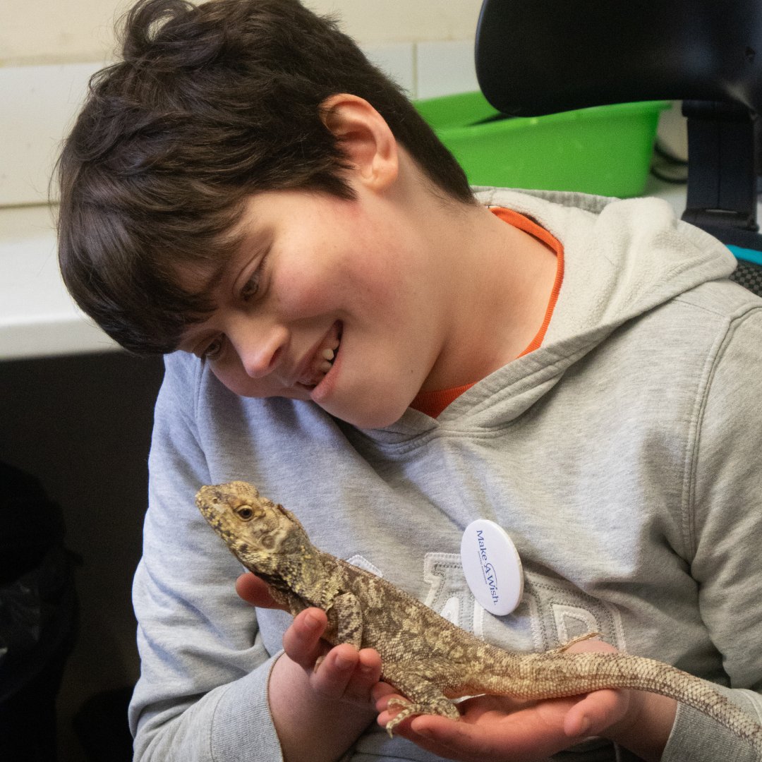 What’s your favourite animal? 💭 Darcy (14), lives with complex genetic conditions, but for her, the answer is dinosaurs and reptiles 🦖 Thanks to amazing support from @CotsWildTweets and @PorscheGB, we were able to grant Darcy’s wish ‘to have a reptile zookeeper experience’ 💙