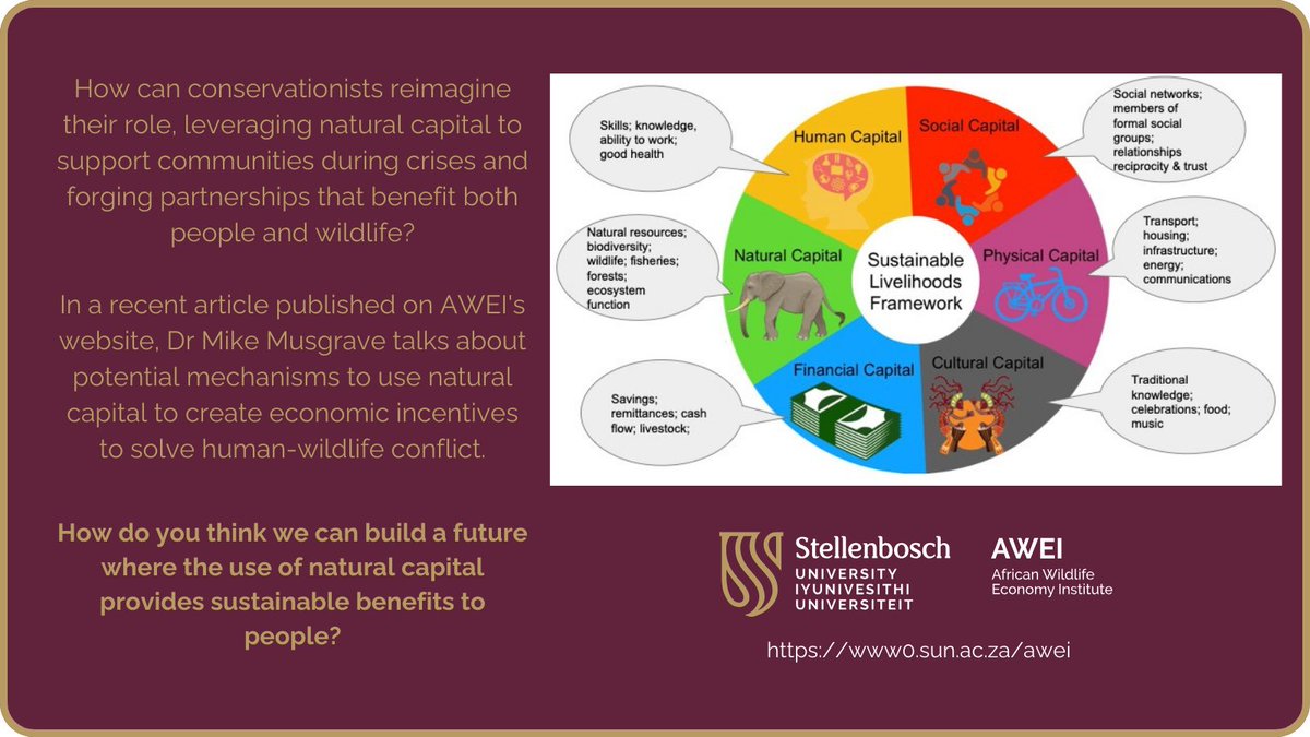 How do you think we can build a future where the use of natural capital provides sustainable benefits to people? Read more here: www0.sun.ac.za/awei/posts/nat… #Conservation #HumanWildlifeConflict #CommunityEngagement #AWEI