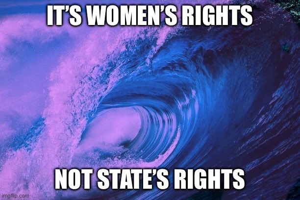 #FridayFeeling Feels like summer is a breath away 🪷 🪸 🌊 🥀 💐 🌺 Feels like women will save democracy from Trump in 2024 🌊 🌊 🌊 Finally Friday 😃 #VoteBlueToProtectWomensRights #ProudBlueWomen