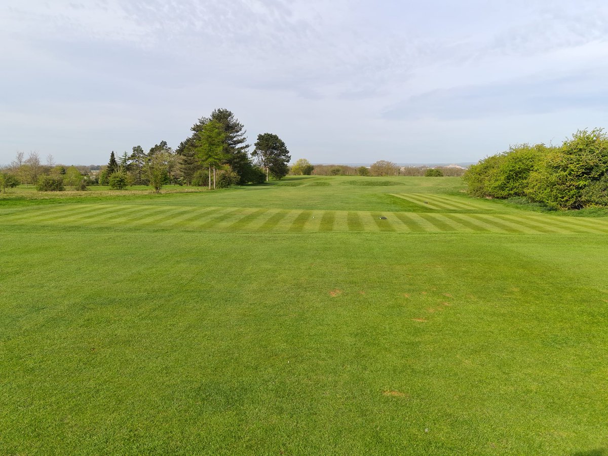 Aaron Bowen tweet media