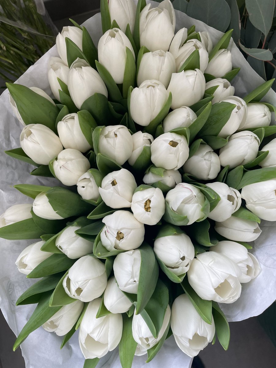 J’ai des tulipes et vous ?