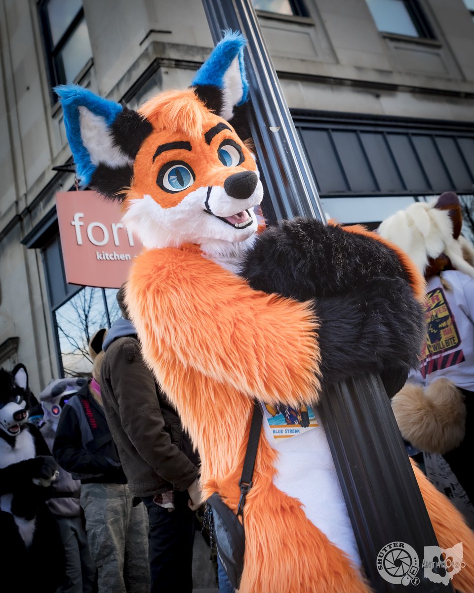 Cityfox on #FursuitFriday! Photo by @BearDogShutter