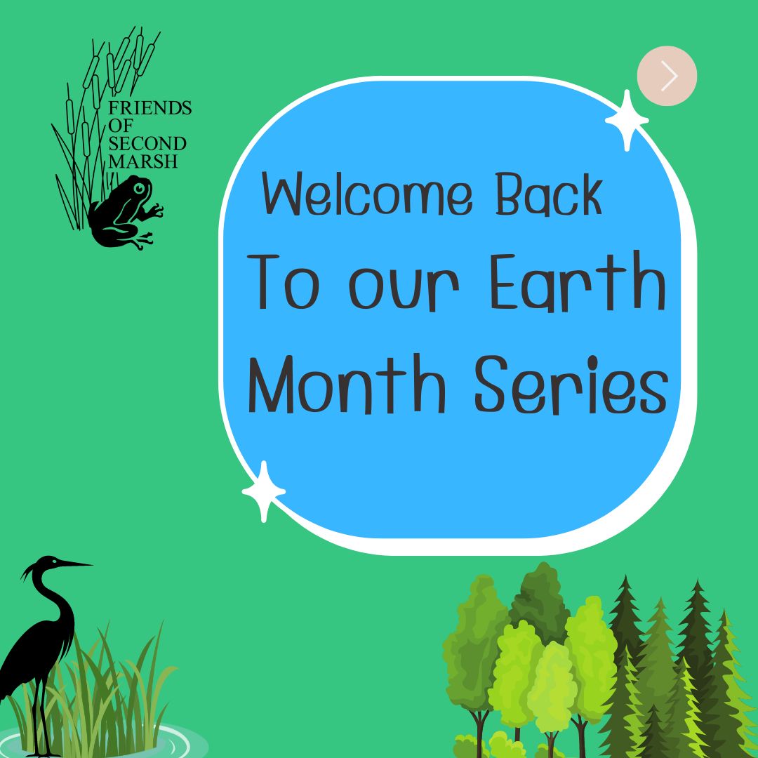 secondmarsh's tweet image. Welcome back to our weekly Earth Month series! 
Here are some easy at home actions you can take to participate in #EarthMonth this weekend. #FightClimateChange #LoveTheMarsh #FriendsOfSecondMarsh #Oshawa #SecondMarsh #NaturalHeritage #CulturalHeritage #OntarioWetlands
