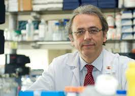 Dr. Josep Llovet @IcahnMountSinai provides expert perspective in @ASCOPost 
For Unresectable Liver Cancer, the Addition of Durvalumab and Bevacizumab Boosts Efficacy of Transarterial Chemoembolization
bit.ly/4aRwWTf