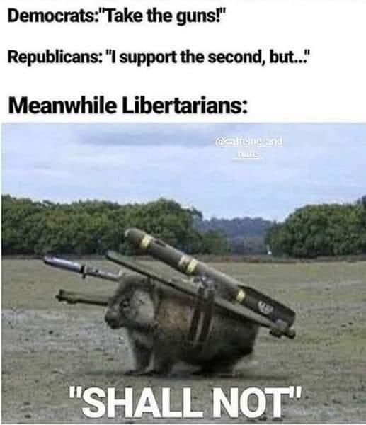 LPPAorg's tweet photo. When it comes down to it, only Libertarians support your unconditional right to bear arms. https://t.co/KkHtx66HIr