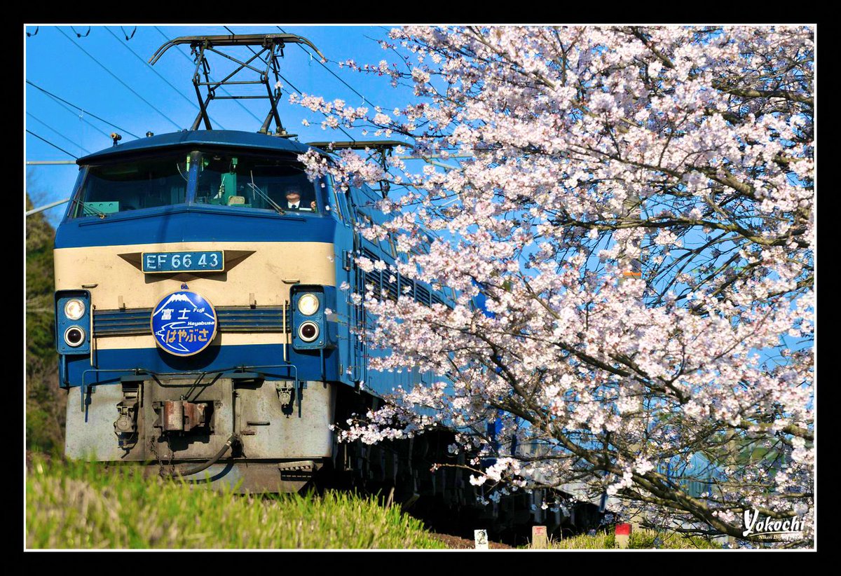 2008/4 東海道本線 EF66-43 富士はやぶさ