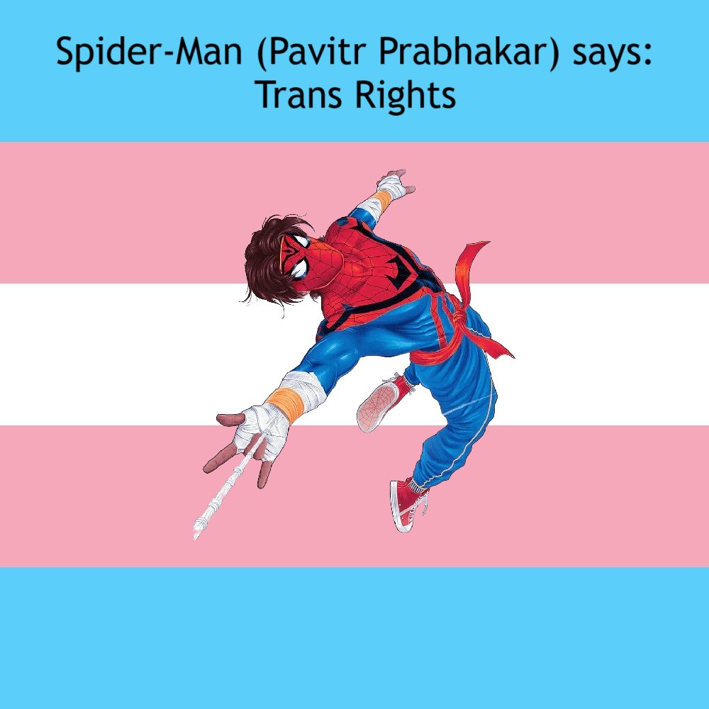 Spider-Man (Pavitr Prabhakar) says: Trans Rights