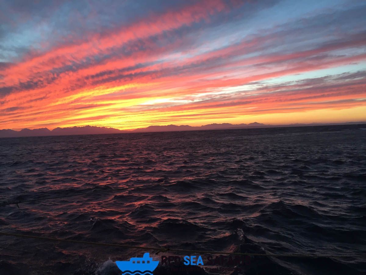 Now that's a sky!! 

#RedSea #Egypt #Scuba #Diving #ScubaDiving #RedSeaSafaris #Safaris #Liveaboards #LiveaboardHolidays #DiveTravel #DiverTravel