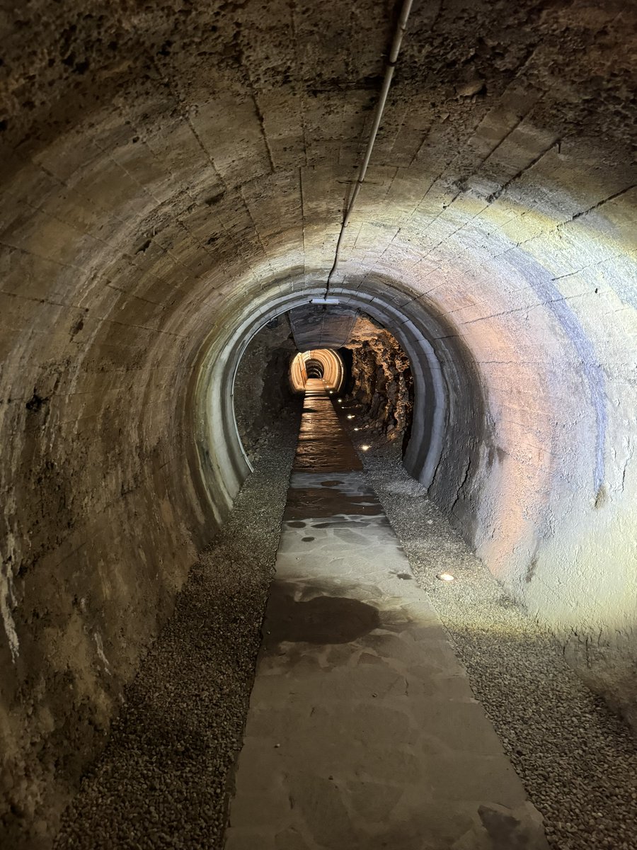 Barra Best tweet media