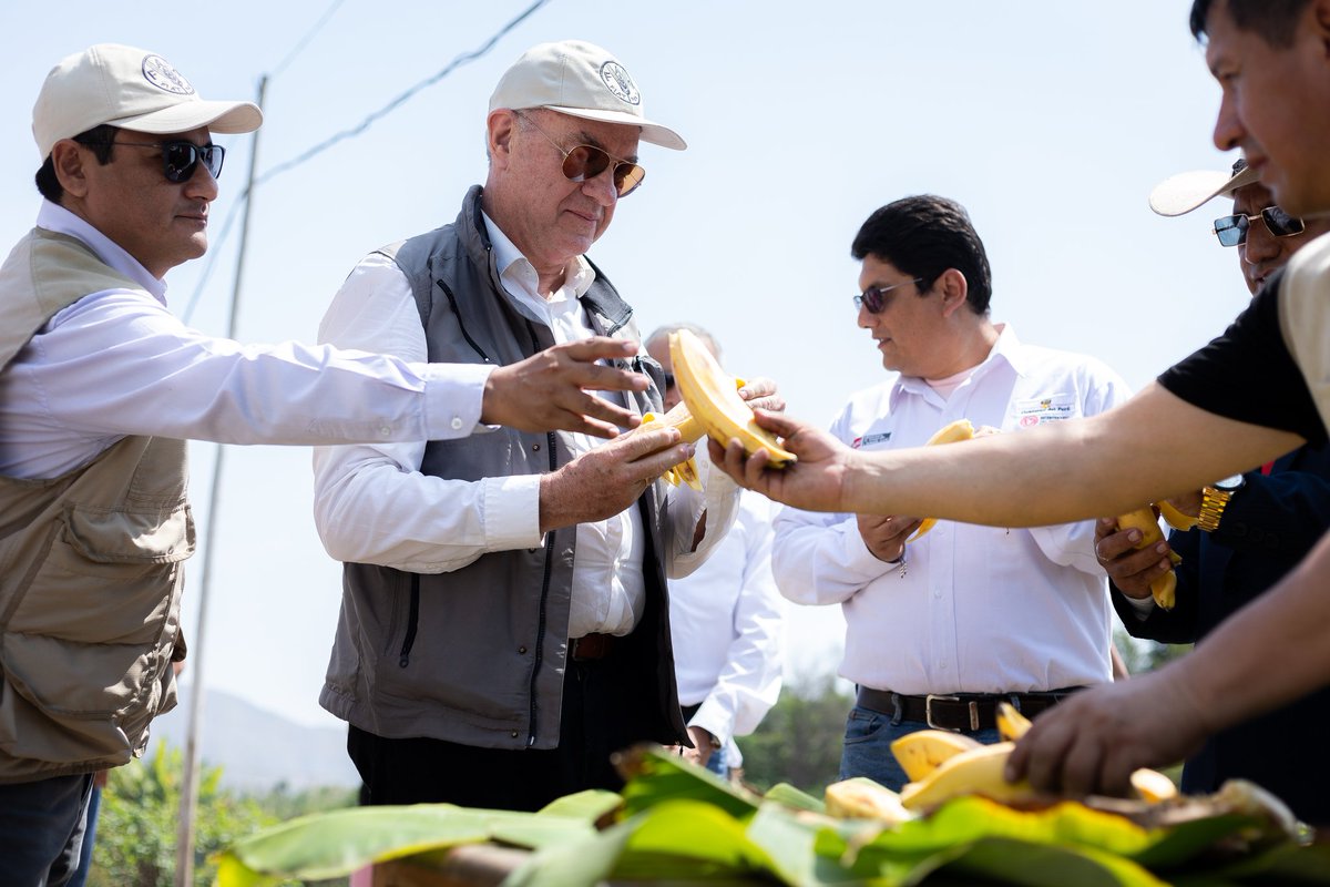 Representante Regional @MLubetkinFAO conoció campos de producción de banano, ganado vacuno y la planta de producción de yogurt en San Antonio, primeras experiencias en compras públicas ejecutadas por la Municipalidad de San Vicente de Cañete con apoyo técnico de la @FAO