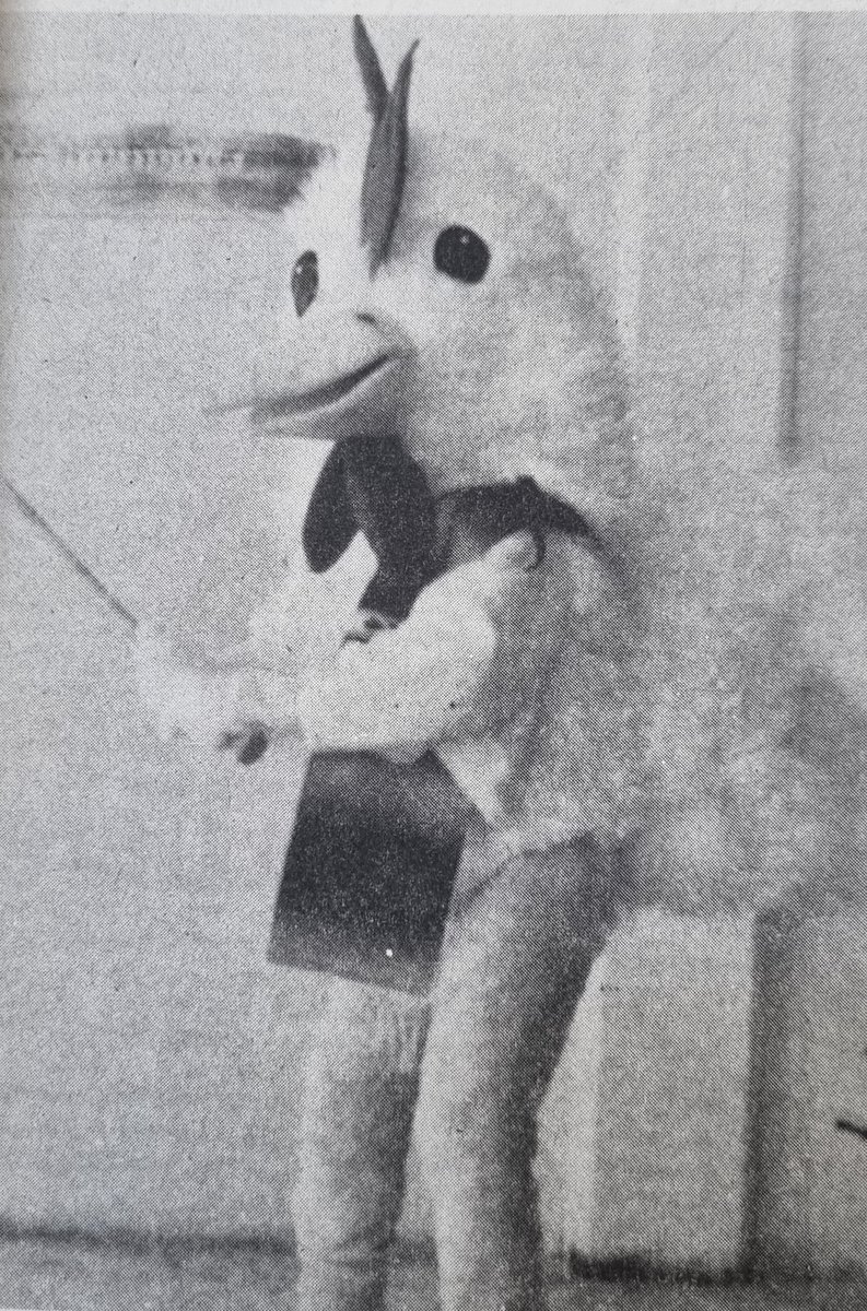 MagazoMi's tweet photo. SARAPEROS DE SALTILLO TIENE A LA MEJOR MASCOTA DE LA LIGA MEXICANA EN KIKE CONEJO.
¿PERO SABIA USTED? QUE LA PRIMERA MASCOTA DEL EQUIPO SE LLAMO  PEPE GALLO...... https://t.co/yJ9BuRXBsn