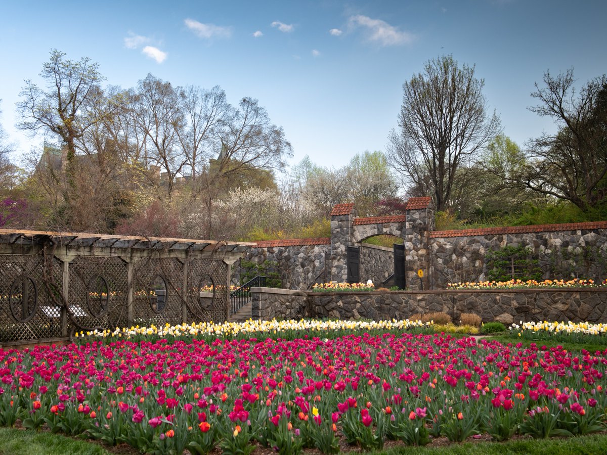 BiltmoreEstate tweet picture