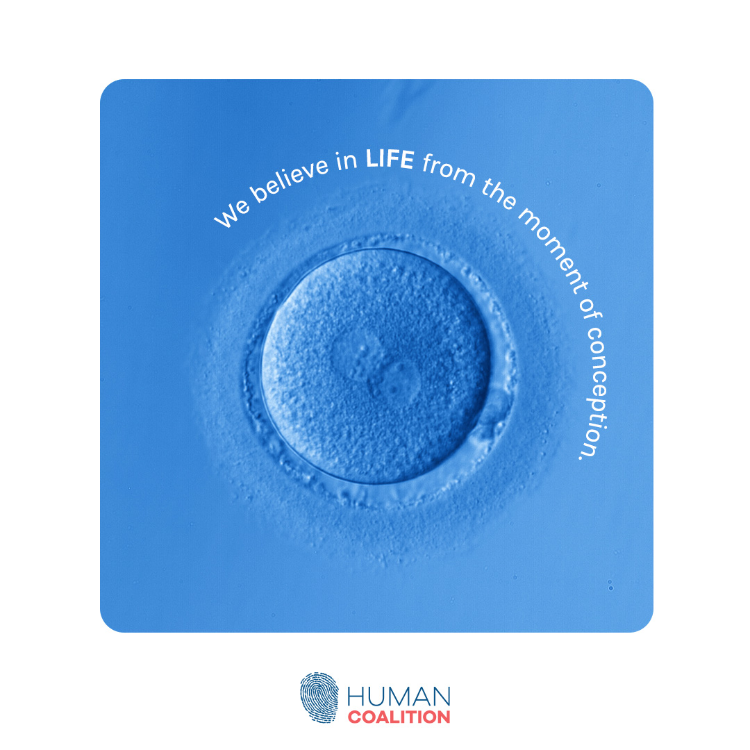 At the point of fertilization, the child's gender, height, hair, eye, and skin color are already established. #SaveTheBabyHumans #LifeIsAHumanRight #ValueLife #ChooseLife #EndAbortion #Abortion #ProLife #RescueThePreborn #HelpHurtingWomen #HelpTheHurting #HelpTheVulnerable