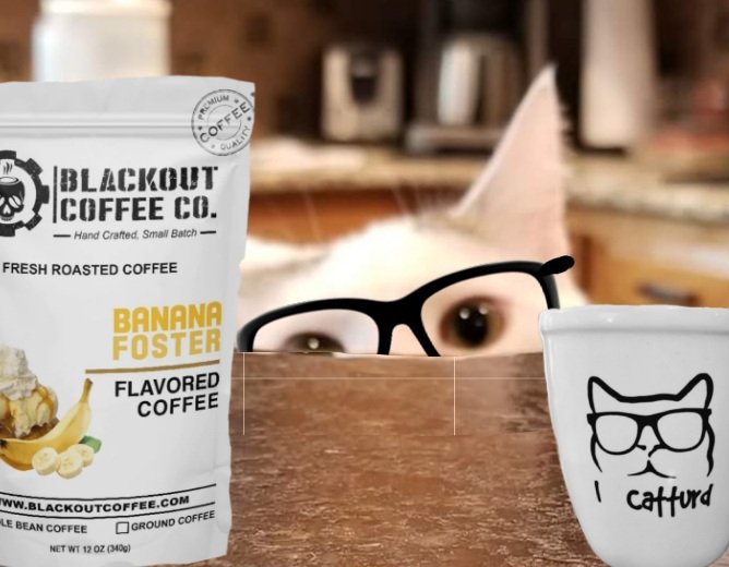 So here's the scoop - HipTurd, also known as @jackie1321_67, has me totally hooked on Banana Foster coffee from Blackout Coffee. It seems she has more recommendations too. Get your favorite #Littermates coffee at blackoutcoffee.com/lb and use code LB for 20% off your first…