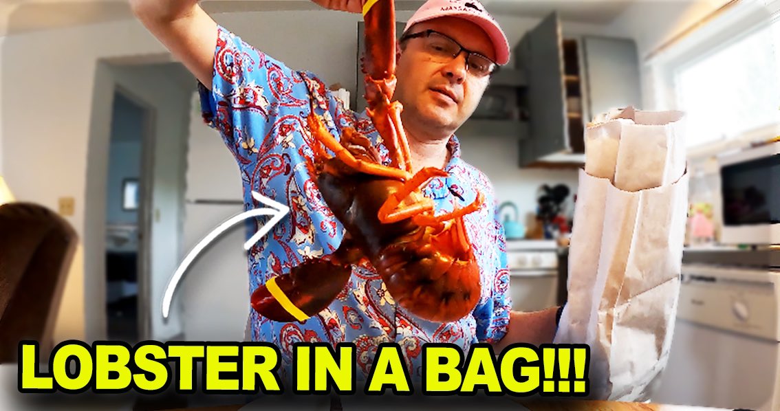 New TravelDog vlog! - #capecod #provincetown #usa #lobster #shopping see the video here - linktr.ee/robertdunt