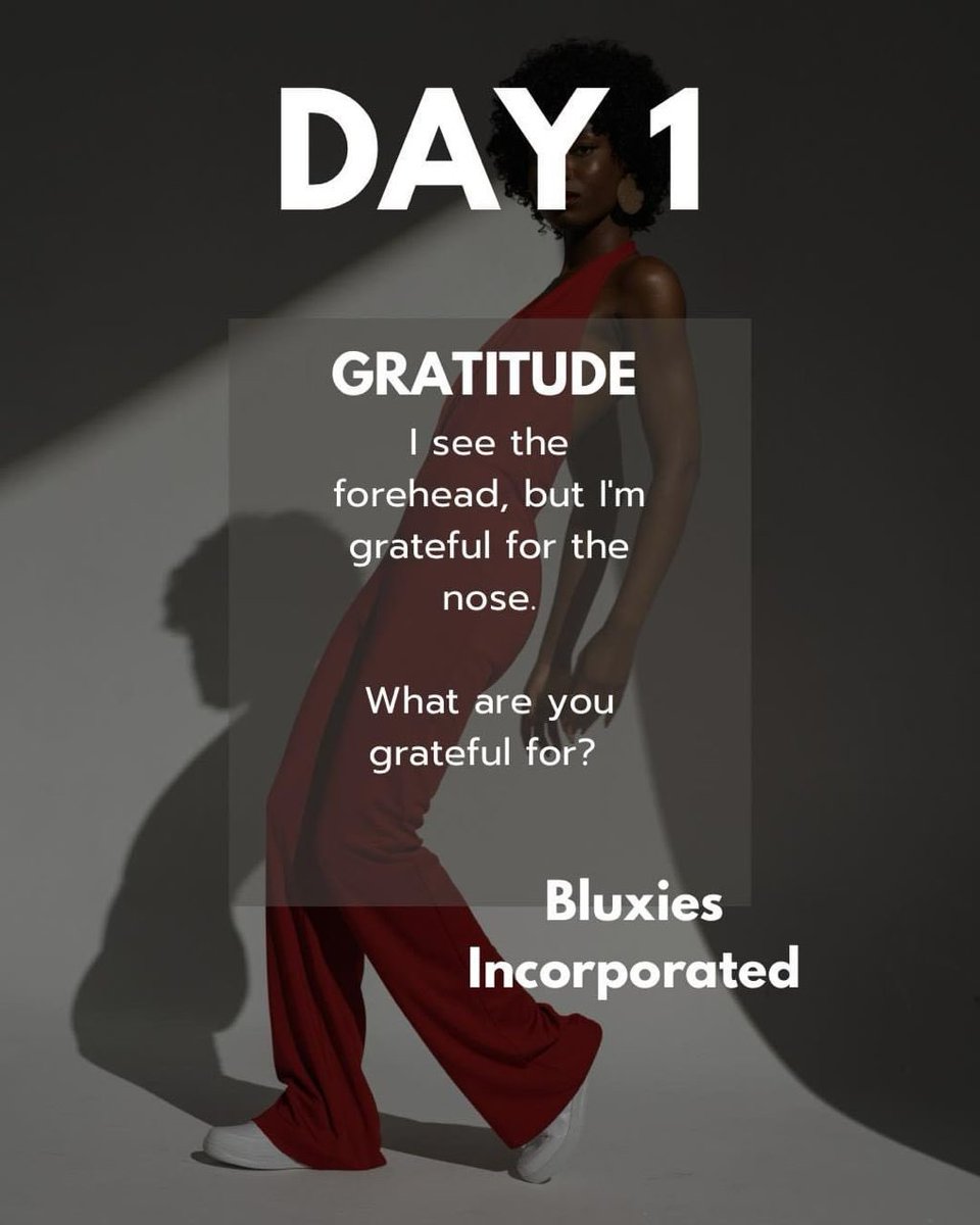 Okay, so this is wayyy out of my comfort zone for two major reasons;
1) This is Twitter(X).
2) Twitter is not nice.

Anyhoo, this is Day 1.

#bluxiesincorporated #bluxies21daychallenge #21daychallenge #gratitude #gratitudeattitude