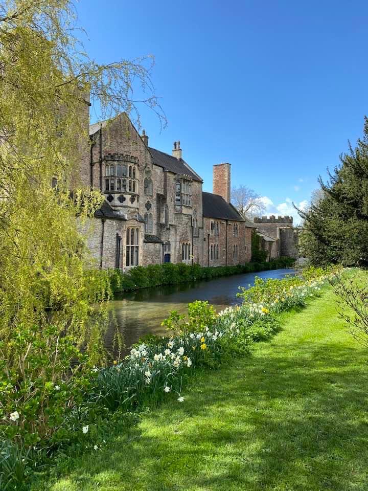 “Thine angel eyes upon our western isle, Which in full choir hails thy approach, O Spring!” William Blake Bishop’s Palace gardens, Wells Spring last year