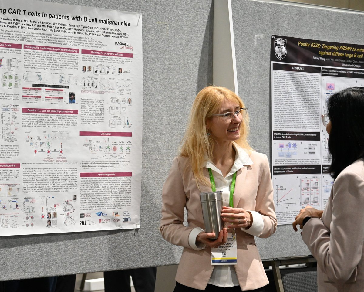 Ludwig @StanfordMed's Zinaida Good (@GoodZinaida) discussed at #AACR24 exciting research on a type of immunotherapy in a poster titled, 'Lineage tracing defines responding CAR T cells in patients with B cell malignancies.'