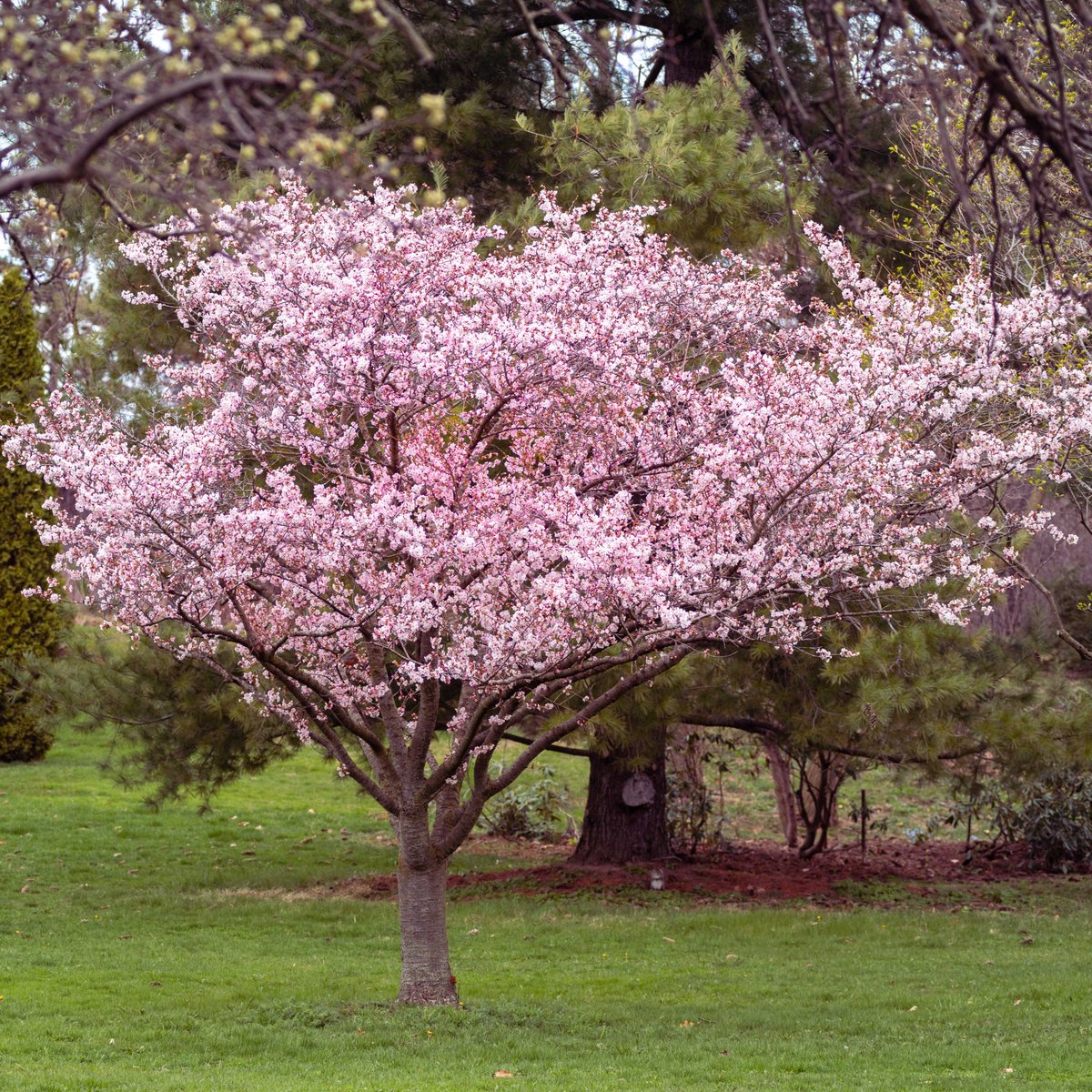 NiagaraParks tweet picture