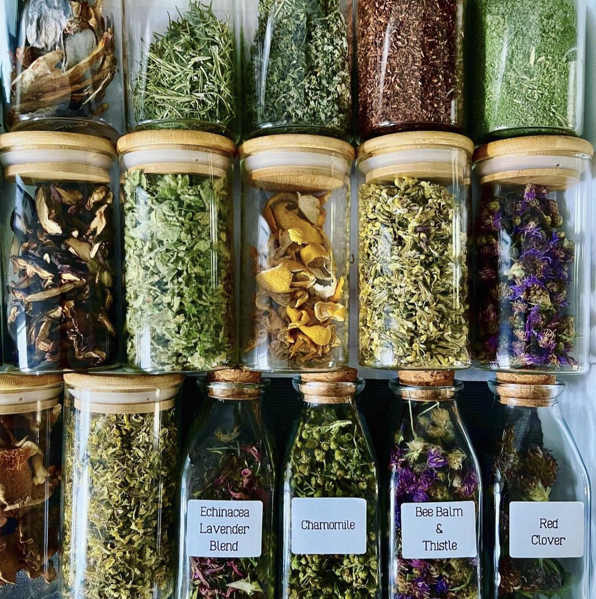 Our small drawer is full of dried herbs, flowers, mushrooms and peels. Hopefully one day we’ll be able to dedicate an entire pantry to our dried goodies!

#foragedfood #foragedflowers #gardengrown #driedherbs #sustainableliving #godisgood