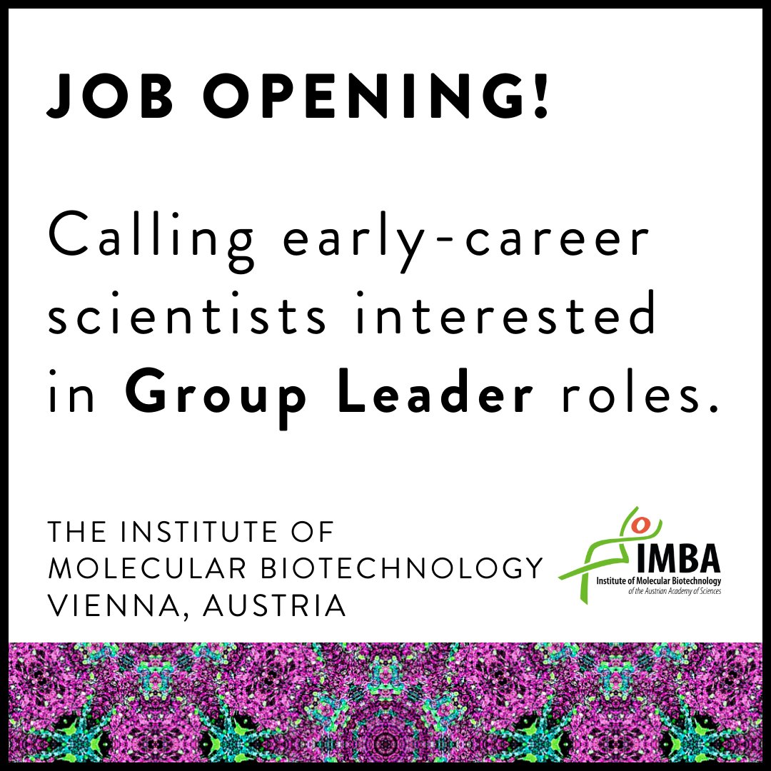 IMBA is recruiting Group Leaders! Are you interested in starting your own lab, pursuing curiosity-driven basic research in the life sciences? Apply now to one of our group leader positions: bit.ly/imbagroupleader #BeAGroupLeader