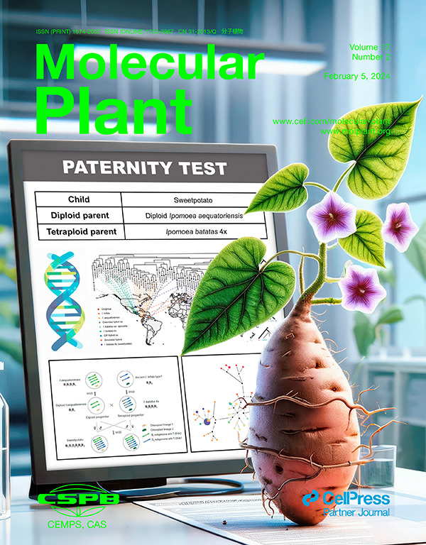 I'm really enjoying how the covers of plant biology journals are getting more and more entertaining and artistic. Thank you @MPlantPCom & @JIPBio!