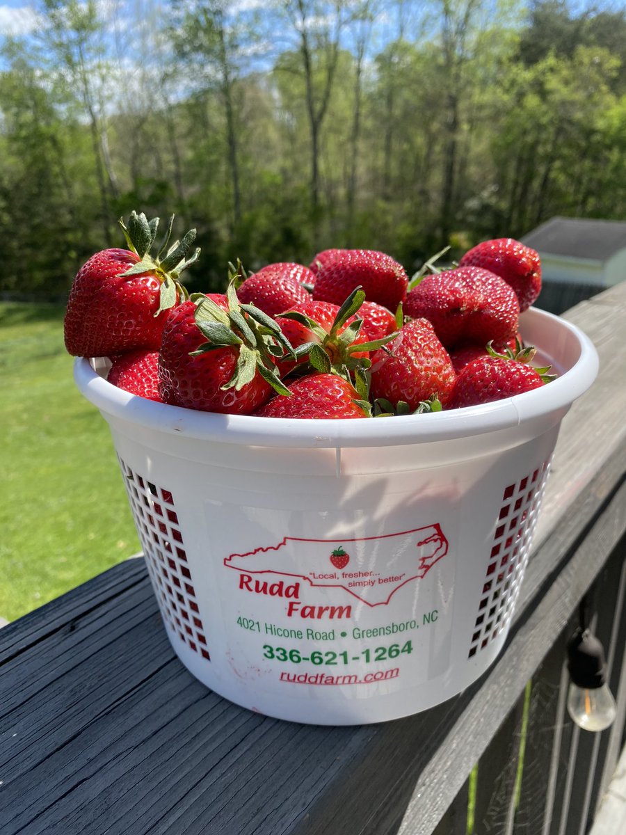 It’s strawberry season!